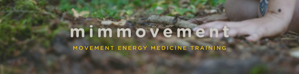 mimmovement-movement-energy-medicine-training